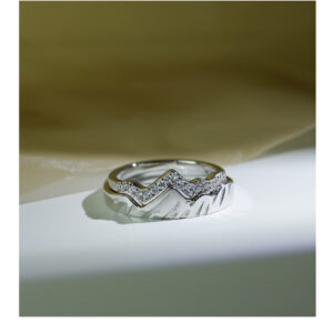 Shanchuan Galaxy 925 Sterling Silver Couple Ring Niche